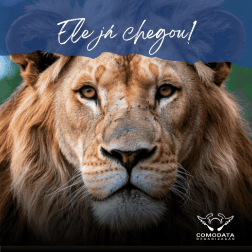 imagem do leao ir 2026