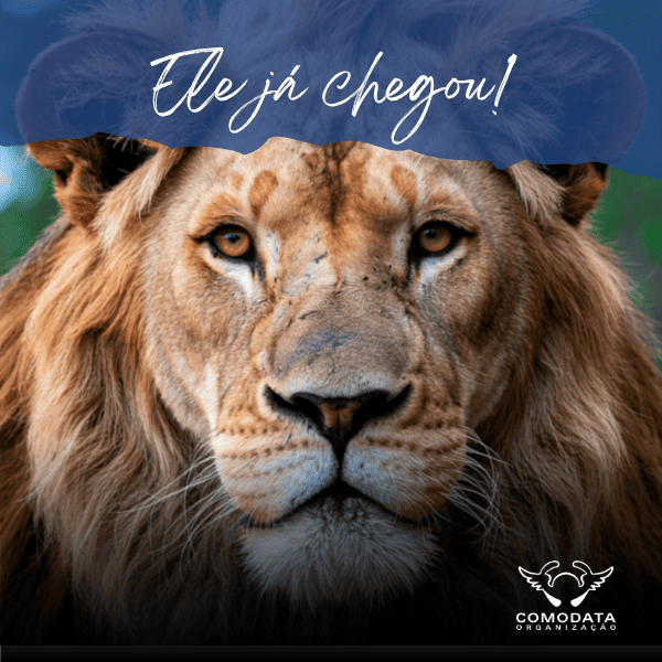 imagem do leao do IR 2026